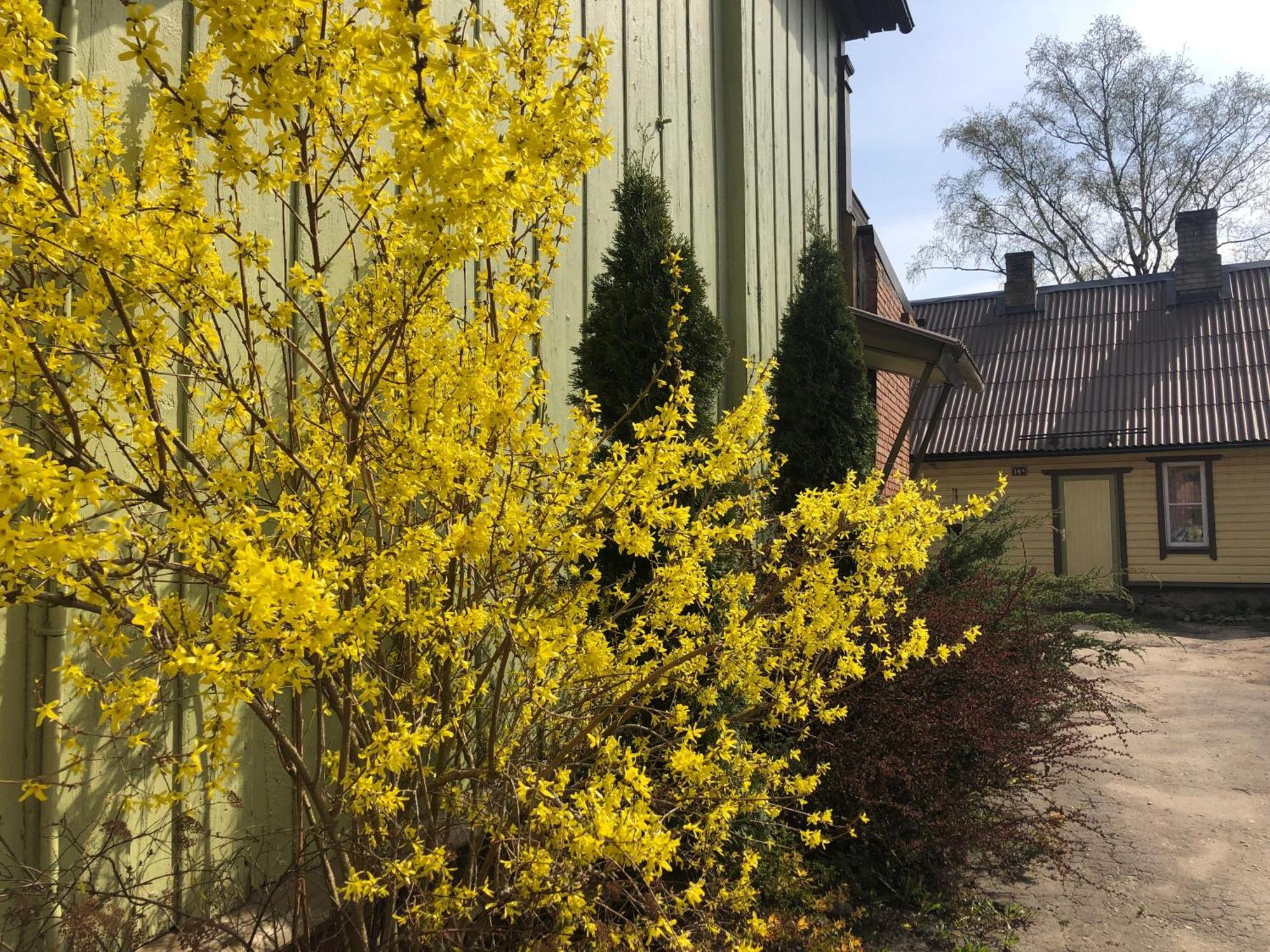 Posti Old Town Apartment ヴィリャンディ エクステリア 写真